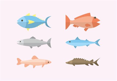 Flat Fish Illustration Vector - Download Free Vector Art, Stock ...