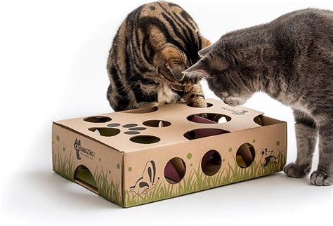 7 Interactive Toys to Enrich Your Cat's Life