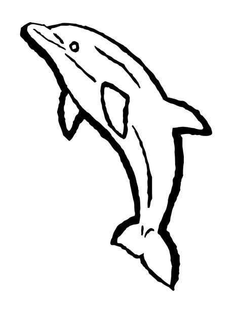 Dolphin Coloring Pages