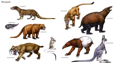 Extinct Animals Mammals List