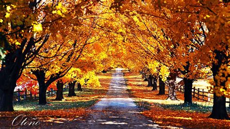 paisajes otoño invierno 2014 - Buscar con Google Autumn Wallpaper Hd ...