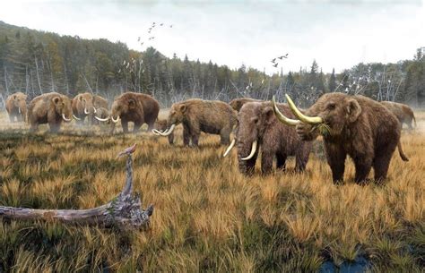 A herd of American Mastodon by Roman Yevseyev Prehistoric Wildlife ...