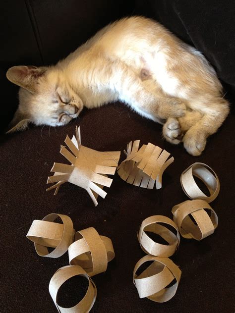 Money Savers: 6 More DIY Cat Toys to Keep Kitty Busy