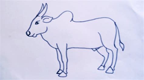 How to draw cow (ox) line drawing//easy drawing step by step//ox ...