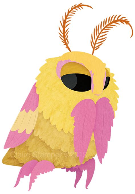 Rosy Maple Moth by Claire Stamper http://cjstamper-art.tumblr.com ...