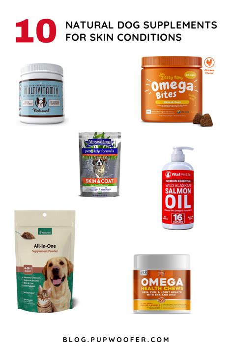 Top 10 Natural Dog Supplements For Skin Conditions - Frenchie Talk ...