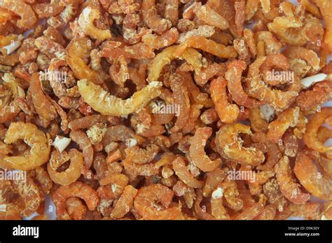 A photo of dried shrimp in Asian cuisine Stock Photo - Alamy