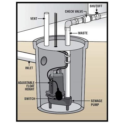 Very popular Everbilt Submersible Effluent Pump nojirien.co.jp