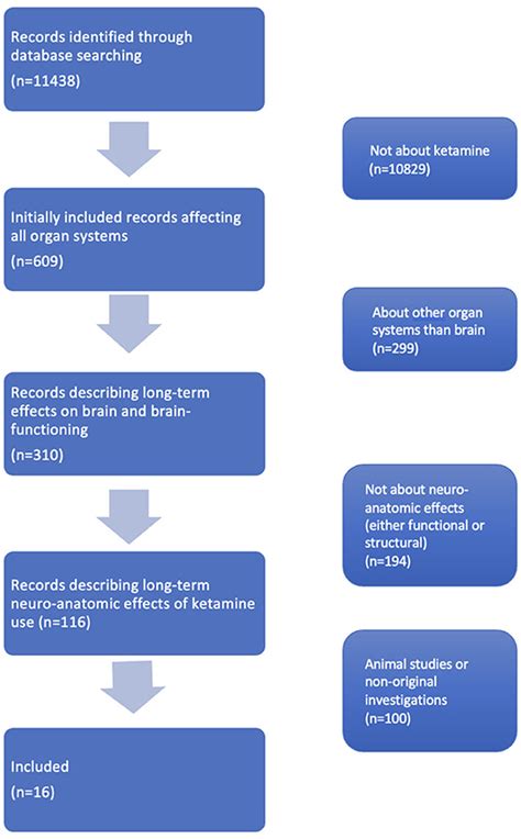 Frontiers | Brain Changes Associated With Long-Term Ketamine Abuse, A ...