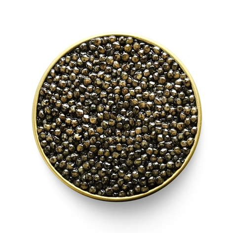 Canadian Sturgeon Caviar | White Sturgeon – Caviar Centre