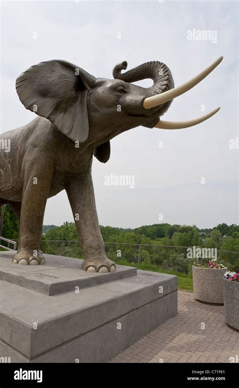 Statue of Jumbo the Elephant.. A life-sized statue of Jumbo the ...