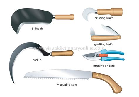 Garden Cutting Tools Names