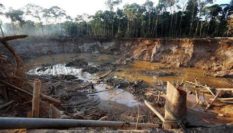 Effects of Gold Mining on the Environment | Sciencing