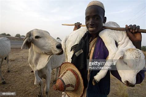 378 Fulani Herdsmen Stock Photos, High-Res Pictures, and Images - Getty ...