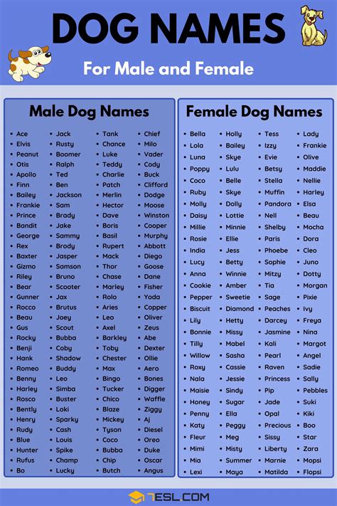 Dog Names: 100+ Most Popular Male and Female Dog Names • 7ESL