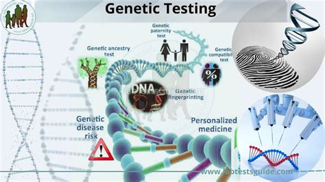 Genetic Testing Types, Purpose, Procedure, Results and Future | Lab ...