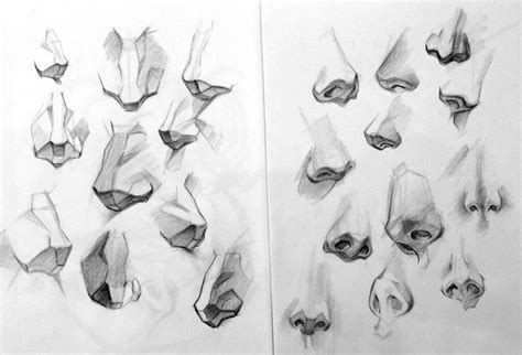 Nose Drawing Reference and Sketches for Artists