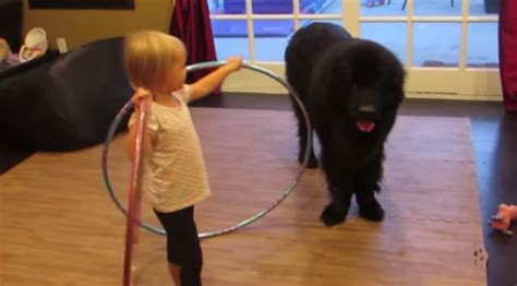 This Little Girl Teaching Her Giant Puppy How To Hula Hoop Will ...