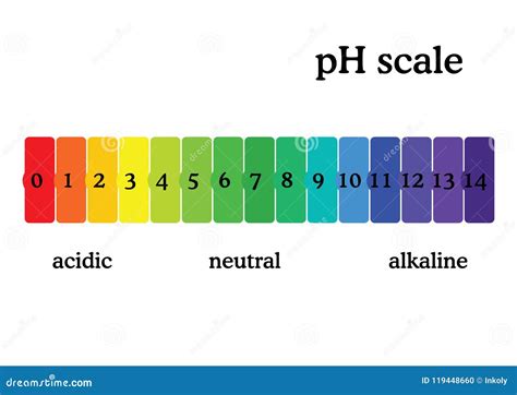 PH Scale Diagram with Corresponding Acidic or Alcaline Values ...