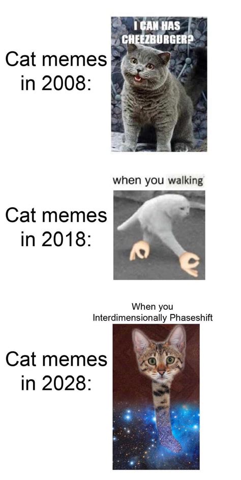 The evolution of cat memes - 9GAG