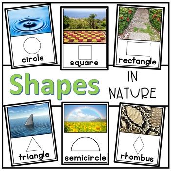 Triangle Shapes In Nature