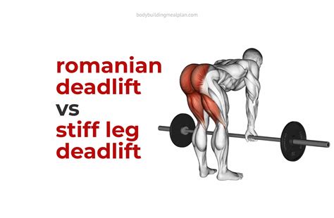 Romanian Deadlift vs Stiff Leg Deadlift: Differences & Muscles Worked