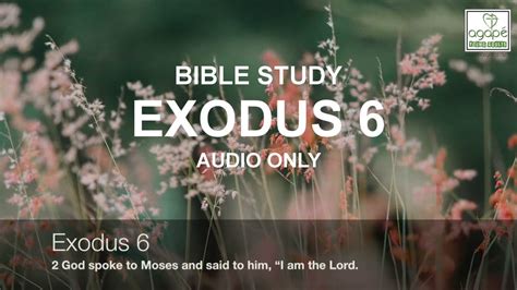 Exodus 6 Bible Study - Pastor Daniel Batarseh - YouTube