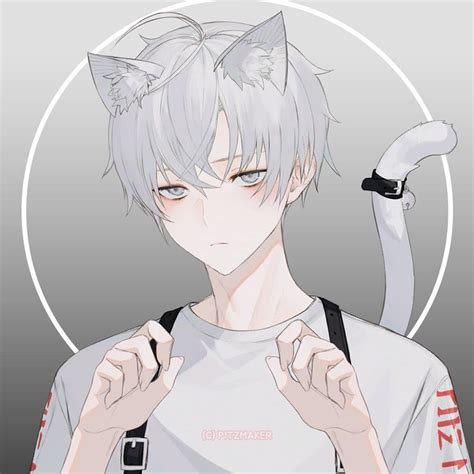 Cute Anime Cat Boy, anime neko boy HD phone wallpaper | Pxfuel