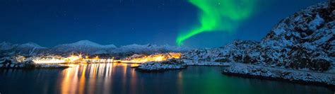 Wildlife & Northern Lights In Senja, Norway