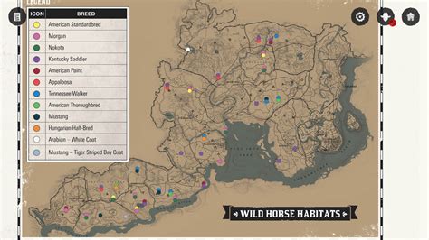 Red Dead Redemption 2 map stats | Eneba