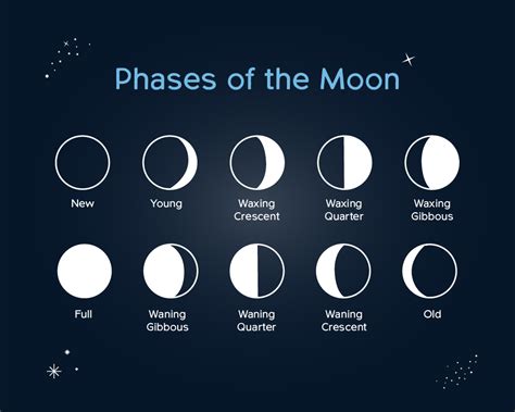 Phases Of The Moon December 2024 - Ruthi Clarisse