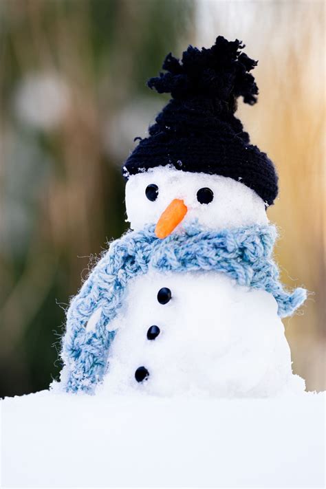 The Best Snowman Quotes & Sayings