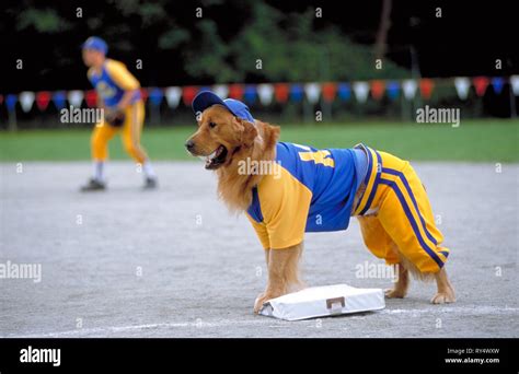 Air Bud Dog High Resolution Stock Photography and Images - Alamy