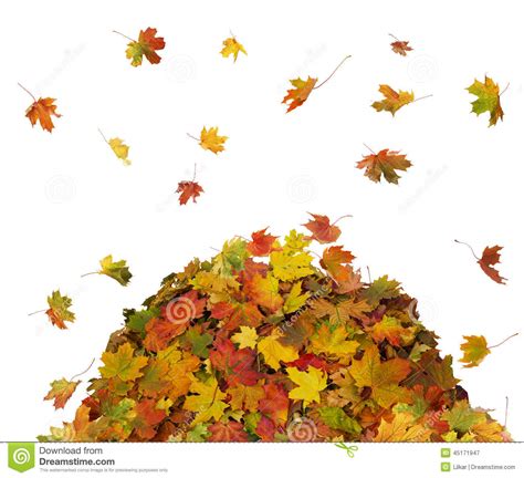 pile of fall leaves clip art 10 free Cliparts | Download images on ...