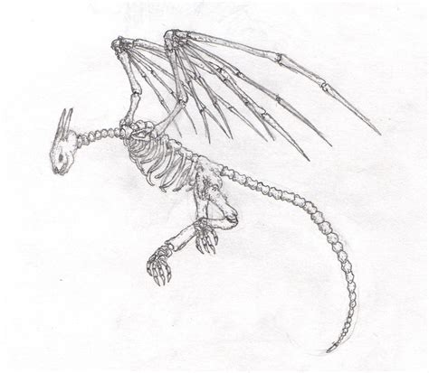 Skeletal Dragon by SplinterFleetAlta on DeviantArt