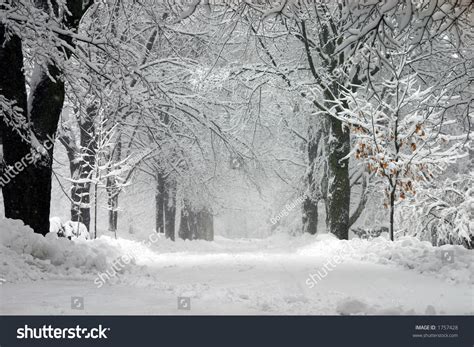 Snow Storm Stock Photo 1757428 : Shutterstock