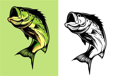 Bass fish vector illustration | Animal Illustrations ~ Creative Market