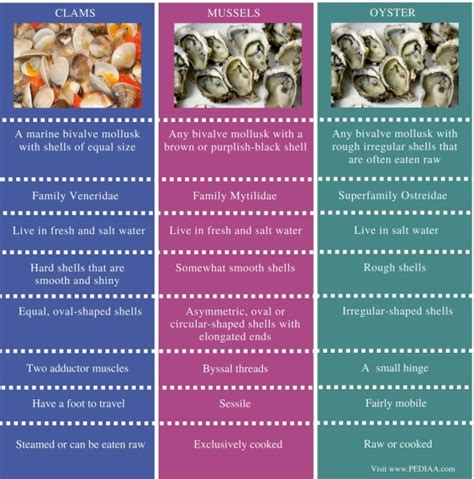 Difference Between Clams Mussels and Oysters - Pediaa.Com