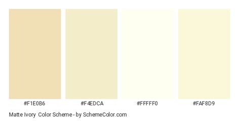 Matte Ivory Color Scheme » Cream » SchemeColor.com