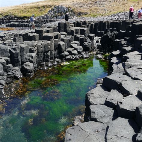 Basalt Columns - The Chatham Islands