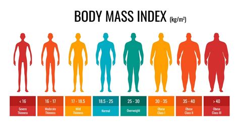 BMI classification chart measurement man set. Male Body Mass Index ...