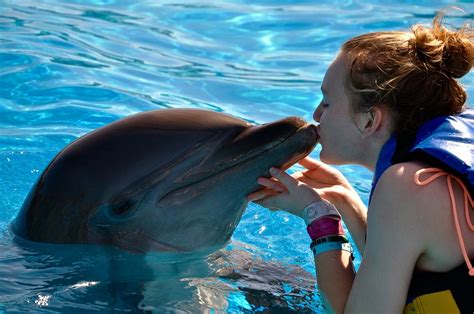 Swimming with Dolphins Cancun, Mexico 2015 | Travel, Cancun, Swimming