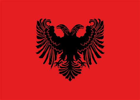 A recreation of the first Albanian flag. (Credits: u/azukay ) : r ...