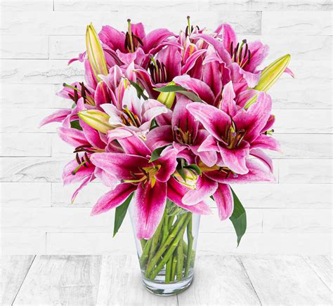 Luxury Pink Lilies | 123 Flowers