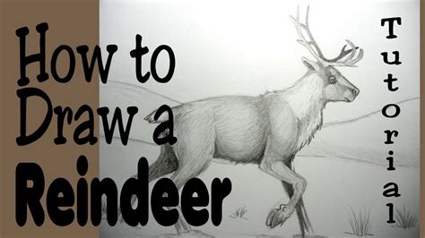 How to draw a Reindeer - YouTube