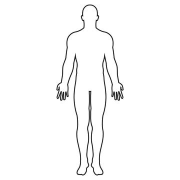 Human Body Front And Back Outline - bmp-mathematical