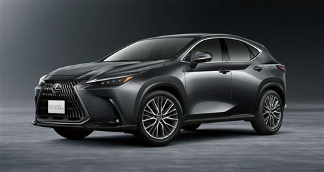 New Lexus 2024 Nx - Suzy Zorana