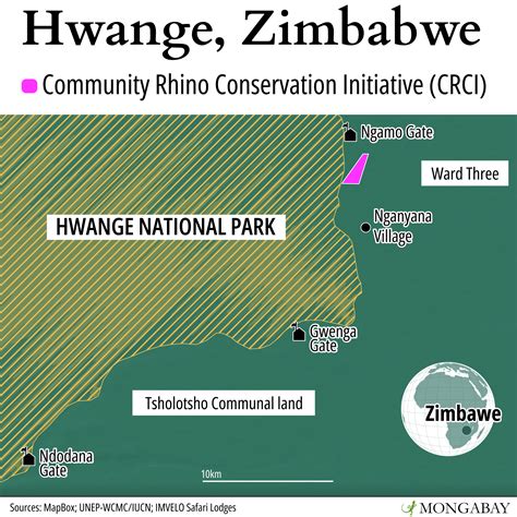 White rhino conservation project attempts paradigm shift by including ...