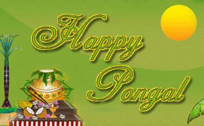 {20+} Pongal GIF Images | Pongal Animated GIF Wishes