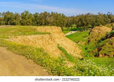 View Wildflowers Gerar Valley Landscape Beeri Stock Photo 2122760222 ...